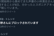 【悲報】河野次期総理、Twitterで国民をブロックしまくる……