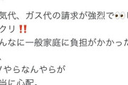 超有名フェミニスト「ギャーッ！電気代とガス代が高くなったから男のＤＶが始まる－！！」