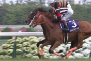 【競馬】天皇賞春は即刻2400mに距離短縮せよ