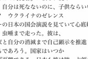 【悲報】ロシアに小国ウクライナが勝てるわけない、いなば食品の社長が全社員に送りつけた“怪メール”公開ｗｗｗｗｗｗ