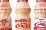 ヤクルトレディという1本80円の飲み物を売り歩いて生計を立てている謎の存在