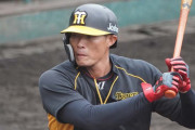【阪神】糸井もサンズらと競争　矢野監督が奮起促す