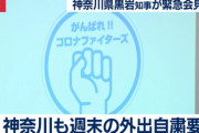 【画像】神奈川県「コロナファイターズのステッカー作ったったｗｗｗ」