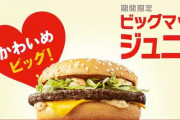 【マクドナルド】ビッグマックのパテが1枚になったビッグマックジュニアを発売【かわいめ？】