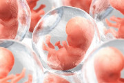 「人間のDNAから人工胚を作って臓器を採取」イスラエル企業がついに禁断の実験を開始か
