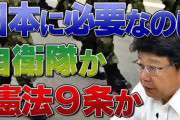 左翼さん論破される「ネトウヨという言葉を使う人は議論したら負けるから相手にレッテルを貼る卑怯者」