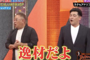 【悲報】好感度No.1芸人「サンドウィッチマン」やらかす