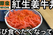 俺「紅生姜っていらないよな」紅生姜「そんな事ない！炒飯、焼きそば、牛丼、お好み焼き、たこ焼き、etc……」