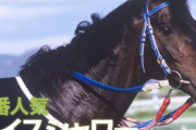 【競馬】JRA公式が「"3分でわかる"ライスシャワー・淀に咲き淀に散ったステイヤー」動画を公開！