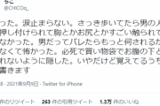 【悲報】Twitter絵師「歩いてたら男の人に襲われて怖かった。涙が止まらない」