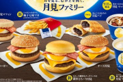ダイエット中の俺…月見バーガー食いたくて咽び泣く…