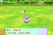主人公が倒した野生のポケモンがその後どうなるか考えると夜も眠れない
