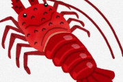 【悲報】Twitter民さん、釣れた伊勢海老を持ち帰ってしまう