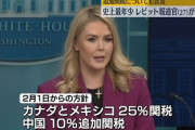 【速報】レビット米大統領報道官「それでは2月1日より関税25％を課す国を発表します」