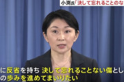 【朗報】小渕優子さん、要職復帰！！！党から完全に許された模様