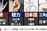 【画像】YouTube「日本人特殊すぎィ！」→235万再生