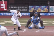 日ハム梅林のリードとかキャッチングかなり良くね？
