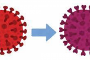 【悲報】デルタ株、「対日本人専用」だと研究で判明wwwwwww