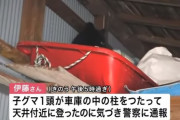 民家の車庫に子グマ、猟友会がハチミツを使った捕獲用の罠を設置　山へ返す方針