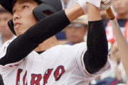 甲子園一大会における最多本塁打記録中村奨成(6本)←これ