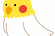 インコorオウム飼ってるなんＪ民おるかー？
