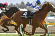ハッピーグリンさん、ついに岩手競馬に移籍も敗戦