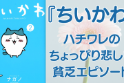 『ちいかわ』ハチワレのちょっぴり悲しい貧乏生活エピソード！ヒビ割れの食器にボロボロの布団……