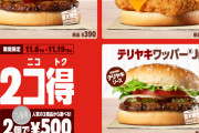 【朗報】 バーガーキングさん、またまた神キャンペーンを始めてしまうｗｗｗｗｗ