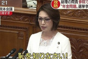 【悲報】　自民党「ネットが無法地帯になっている」
