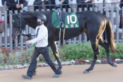【競馬予想】[1]第29回シルクロードステークス(GⅢ) /2024