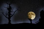 今日は満月、ビーバームーン！気分をリセットしたいなら夜10時半頃に夜空を見上げよう（2019年11月12日）
