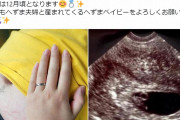 「エイプリルフールでした」と、へずまりゅう妻が妊娠報告撤回