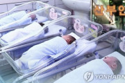 韓国の第1四半期の合計出生率歴代最低…29ヶ月連続人口減少＝韓国の反応