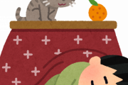こたつ持ってない奴ｗｗｗｗｗｗ