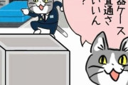 現場猫さん、実在した