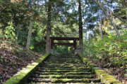 【悲報】江戸時代に放棄された神社、とんでもないことになってしまうｗｗｗｗｗ