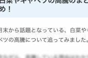 【画像】「まとめ」記事、全然まとめになっていないｗｗｗｗｗ
