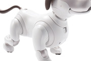 ソニー、犬型ロボット「aibo (ERS-1000)」の国内販売を終了すると発表