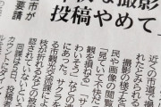 【悲報】ランエボオーナーさん、桜の枝の上にホイールを乗っけて撮影しSNSに投稿→新聞沙汰になるｗｗｗｗｗｗｗｗｗｗ
