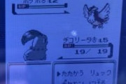 【画像】ポケモンのゲーム買ってきたったｗｗｗｗｗｗｗｗｗｗ