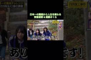 日本一の階段から人生を教わる賀喜遥香&遠藤さくら｜乃木坂46 #shorts