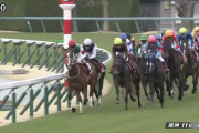 【競馬】園田競馬８Ｒで大量７頭が競走除外　負担重量の誤記載で