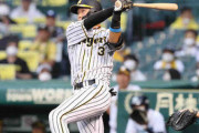 阪神・大山　これぞ4番弾！矢野監督も称賛　4番で10打数5安打4打点