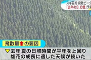 【悲報】今年の花粉症、ガチでヤバすぎる
