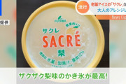 【朗報】患者「食欲不振です…」看護師「このアイス２つはおススメ…コンビニとかでも常備されてほしい」→9.3万いいね！