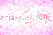【櫻坂46】次週、ついに終止符が打たれる...!!!【そこ曲がったら、櫻坂？】