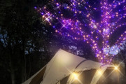 「光と音楽が融合する素晴らしいリゾート体験！三重県のキャンプ場が照明会社によって大変身」