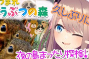 鈴原るるちゃんが扁桃炎により療養【Vtuber】