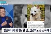 【悲報】韓国野党議員がイケイケ状態に覚醒「大統領夫人も収監されるべきでは？その時は愛犬は私が引き取るよ(笑)大切に育てたい」