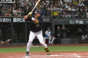 杉本裕太郎(32).243 8本　17打点 OPS.928　BABIP.222